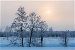 Winter / ***