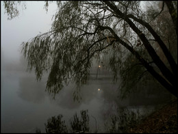 Nebliger Morgen / ***