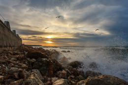 Abend surfen / ***