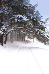 Winter / ***