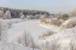 Lebenslinie / ***