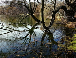 Hohe Wasser / ***