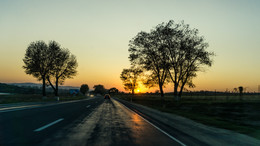 der Weg nach Hause / ***