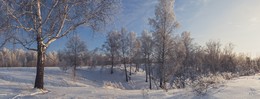 Winter-Skizzen. / ***