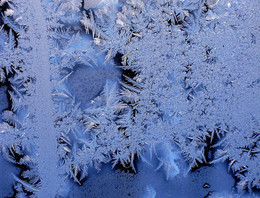Wintermuster / ***