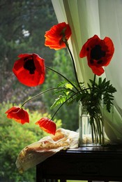 Mohn / 2017
