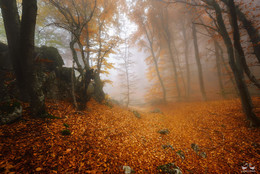 Herbst Trails / ***