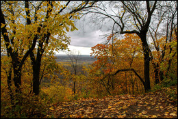 Herbst-Skizzen / ***