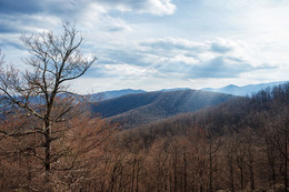  / Blue ridge,
North Carolina, USA