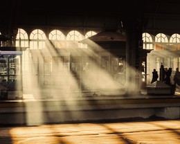 in der Sonne / * * *