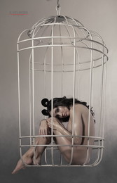 Svetlana / ***