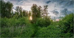 Weg zur Sonne / ***