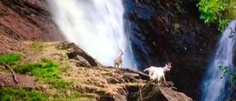 Die Natur / ***