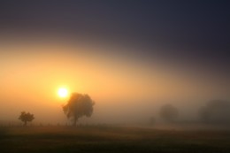 Fairyland / Landscape - Mecklenburg-Vorpommern