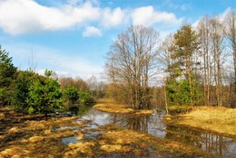 Abfüllung / " " "