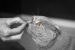  / ---