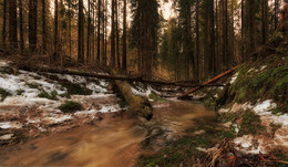 Letzter Schnee / ***