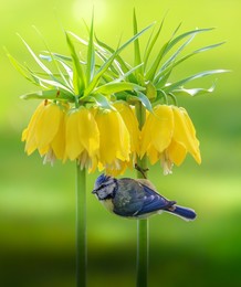 Ein schattiges Plätzchen / wildlife