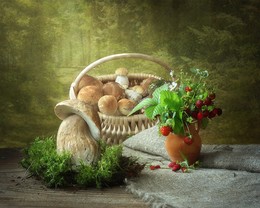Mushroom Zeit, / ***