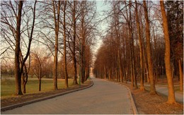 Morgen in den Park / ***