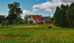 Bauernhof / ***