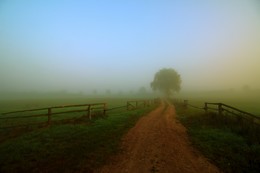 foggy morning / Mecklenburg-Vorpommern.
An einem schönen Sommermorgen im September 2016 fotografiert.