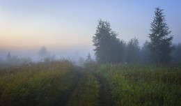 Sommermorgen. / ***