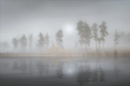 Abendnebel / ***