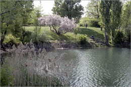 Die Natur / ***