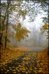 Herbst-Skizzen / ***