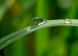 Spiegel der Natur / ***