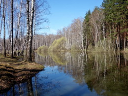 Springtime / ***