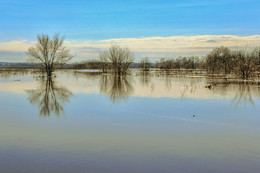Hohe Wasser / ***