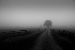 foggy Day / Mecklenburg-Vorpommern