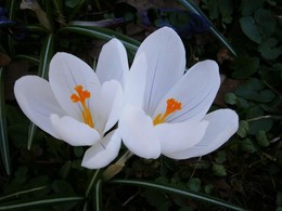  / Springtime