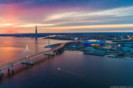  / DJI Phantom 4 Pro
