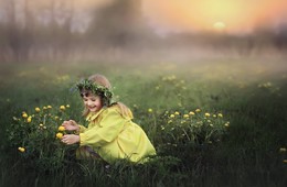 Frühlingsblumen / ***