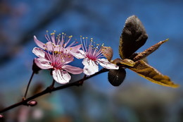 Frühling / -0---
