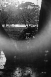 " / ***