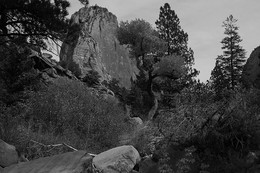 Kolob / ***