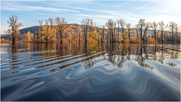 Hohe Wasser / ***