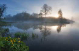 Mai Morgen / ***