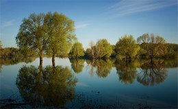 In der spill / ***