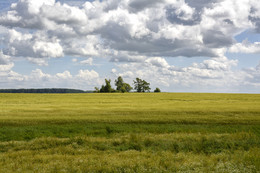 Freiflächen / ***