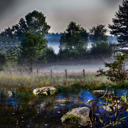Morgennebel / Utrenniy tuman