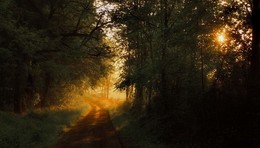 Im Einklang mit der Natur / ***