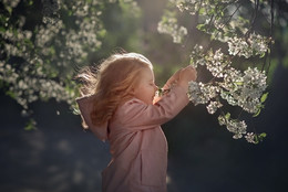 Blüte / ***