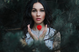 flower / ...