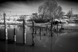 Brücke / ***