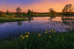 Mai Sonnenuntergang / ***